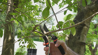 ‎Decerk - Handheld garden shears